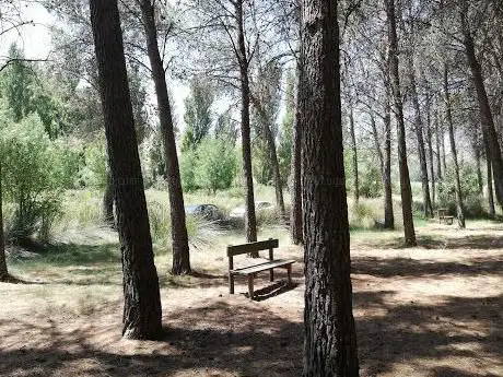 Photo de Forestal Dehesa de Santorcaz Park
