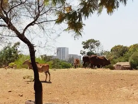 Photo de La Savane