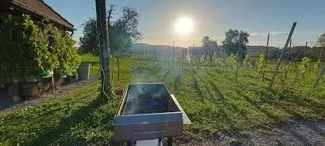 Photo de Weinbau-und Landwirtschaftsmuseum