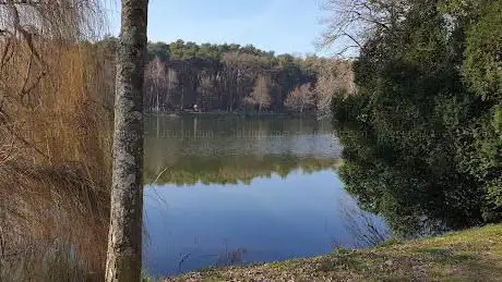 Photo de Lac de Creutzwald
