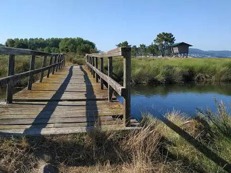 Photo de Observatorio de aves