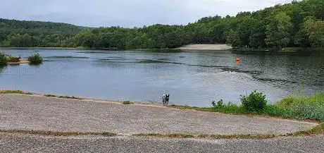 Photo de Étang de Haspelschiedt