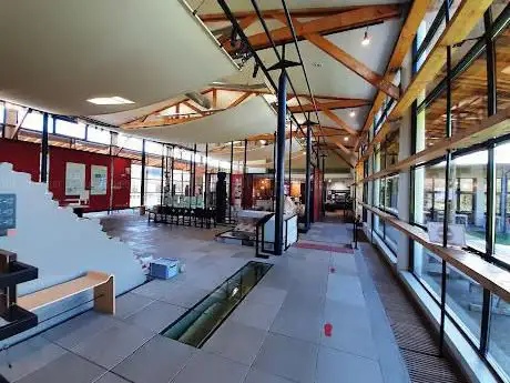 Photo de Vieux-la-Romaine Musée et sites archéologiques