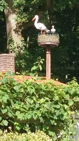 Photo de Kleingartenanlage 