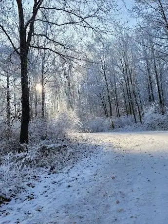 Photo de Waldeingang Roter Berg