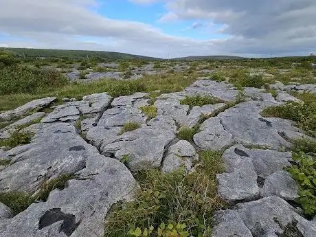 Photo de Heart of Burren Walks