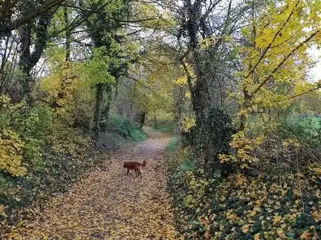 Photo of Bos Eckelrade