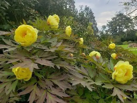 Photo of Jardin Shakespeare