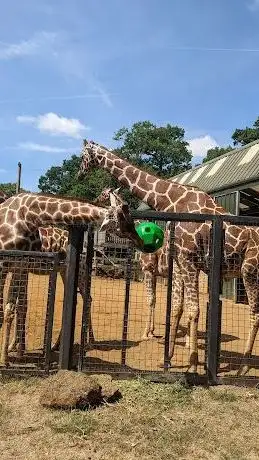 Photo of Zoo de Whipsnade