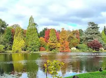 Photo de National Trust - Sheffield Park & Garden