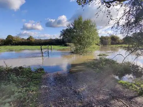 Photo de Knepp Estate - Rewilding Area