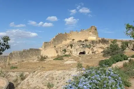 Photo de Tombeaux Mérinides