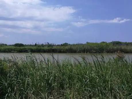 Photo de Riserva Naturale Oasi del Simeto