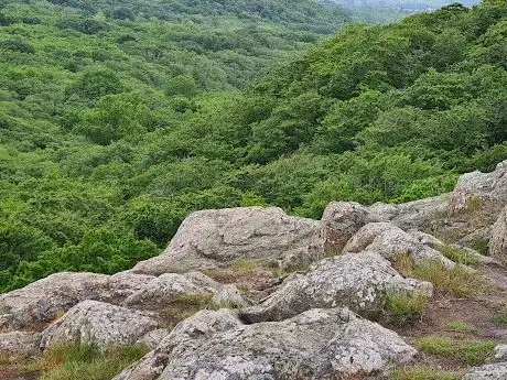 Photo of Parc national de Stenshuvud