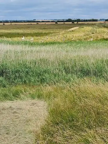 Photo de The Swale National Nature Reserve