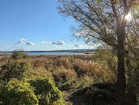 Photo de Aussichtspunkt am Galenbecker See