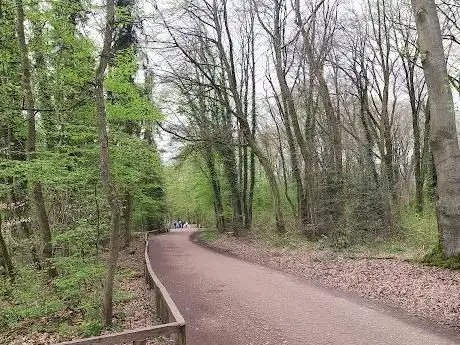 Photo de Barfußpfad