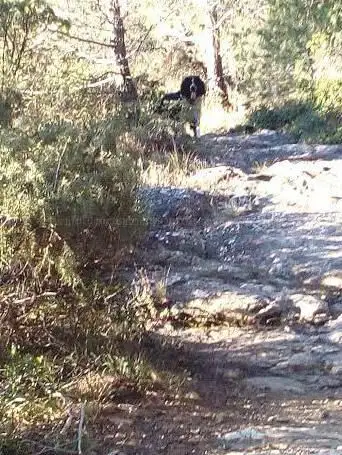 Photo de Source de Saint Jaume.