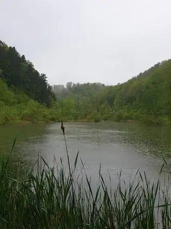Photo de Talweiher Nature Reserve