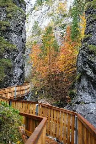 Photo de GeoDorf Gams