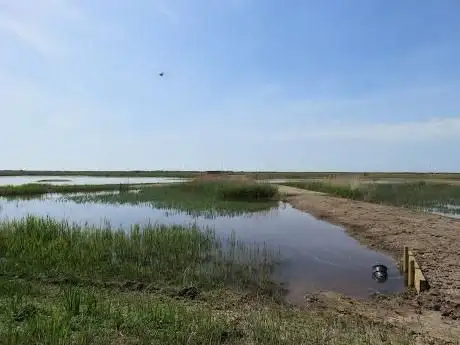 Photo de Réserve naturelle de Minsmere