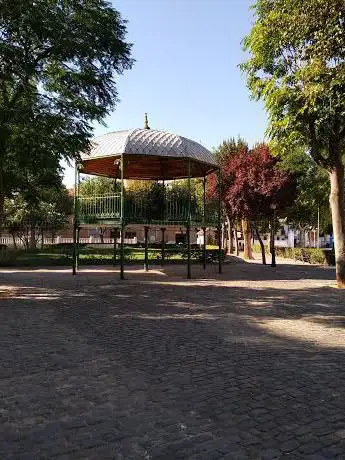 Photo de Músicos Park
