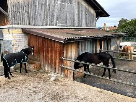 Photo de Pensionstall Riedikon