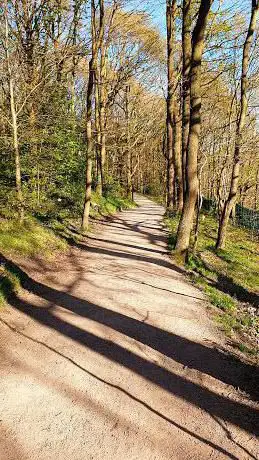 Photo de Hutcliffe Wood