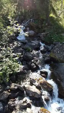 Photo de Pineta di Serleveggio