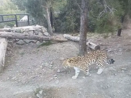 Photo de EcoZonia - Parc Animalier