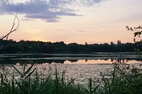Photo of Réserve naturelle régionale de l'étang de Saint-Bonnet