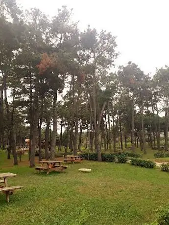 Photo de İBB Şehit Piyade Uzman Çavuş Şahin Aslan Mesire Alanı