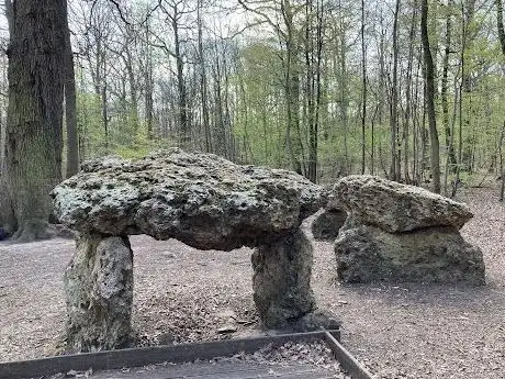 Foto de Chêne des Missions — Menhir - Dolmen