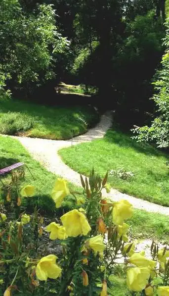 Photo of A Fleur d'eau