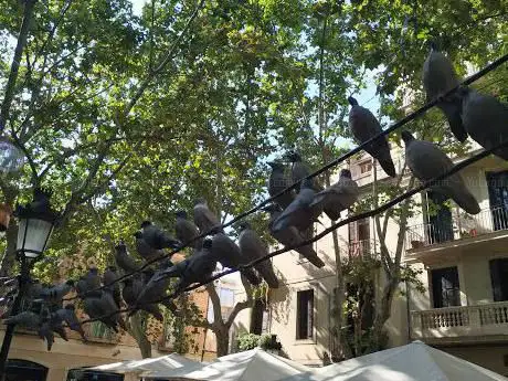 Photo de Plaça de Rovira i Trias