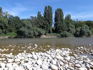 Photo de Rheingärten Aussichtsplattform
