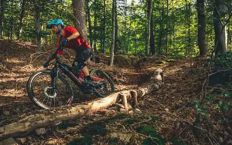 Photo de MTB Trails Spa