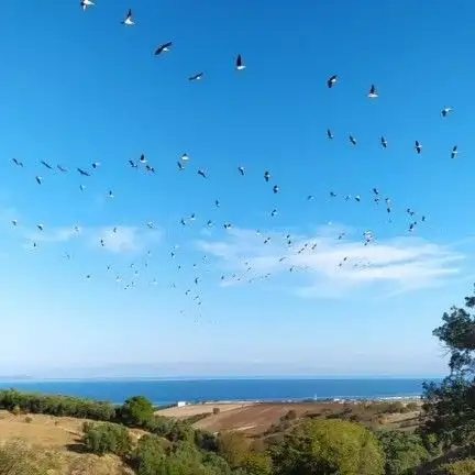 Photo de ARTEMEA YOLU