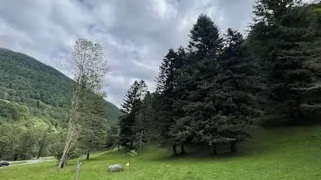 Photo de Arboretum de Joueou