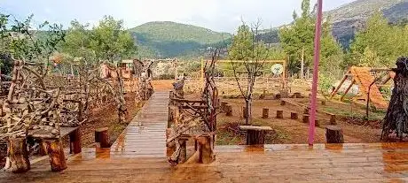 Photo de ALANYA VAN KEDİ EVİ
