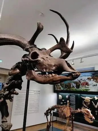 Photo de Naturkundemuseum
