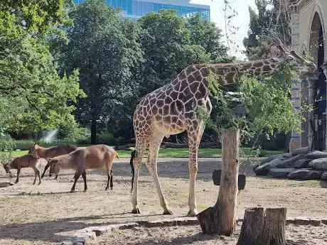 Photo de Zoo de Berlin
