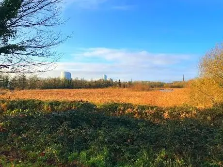 Photo de Westfields Wetlands Limerick