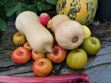 Photo de Online webshop Linked.Farm Curieuseneus.be
