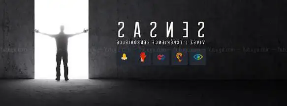 Photo de SENSAS LYON