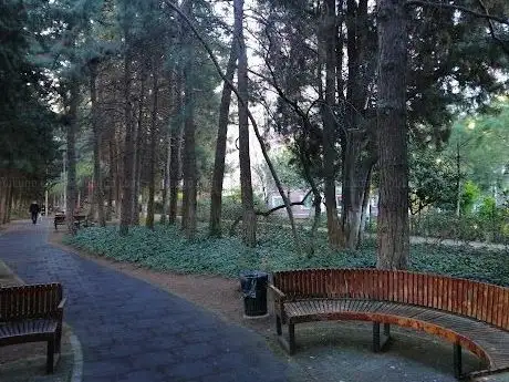 Photo de Mehmet Akif Ersoy Woods