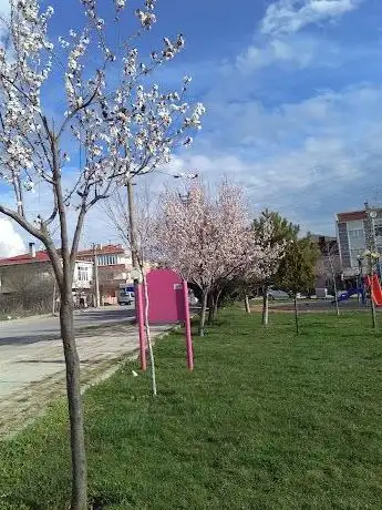 Photo de Park