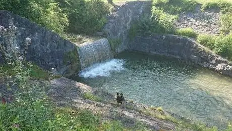 Photo de Wasserfall Ratzbach (Weiler)