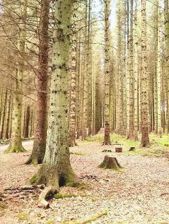 Photo de Beecraigs Country Park