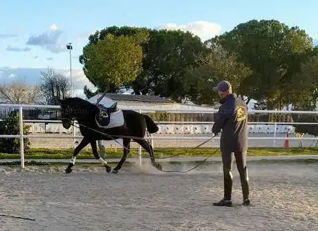 Photo de Equestrian Center Solera